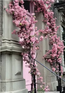  ?? DESIGN RECIPES/TNS ?? Pink makes an unexpected color surprise for this entry area.