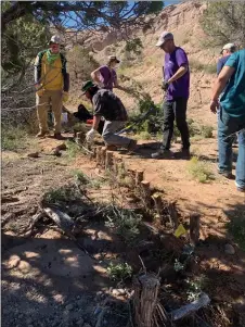  ?? COURTESY PHOTO ?? Crews with Wood Sharks and Ecotone Landscape Planning welcomed staff from the New Mexico State Land Office to a land restoratio­n project underway near Dixon last Wednesday (Oct. 19). Crews have installed 250 devices like this ‘wicker weir’ erosion control structure in the watershed east of Dixon.