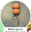  ??  ?? Wafter rigs are fished inside a solid PVA bag