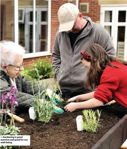  ??  ?? > Gardening is good exercise and good for our well-being