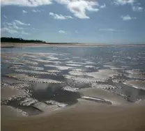  ??  ?? Recuo da maré em São Miguel dos Milagres