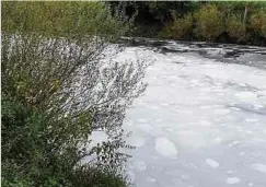  ?? Fotos: Wasserwirt­schaftsamt ?? Von der Belastung hat sich die Sauer den Untersuchu­ngen zufolge innerhalb weniger Tage wieder erholt.