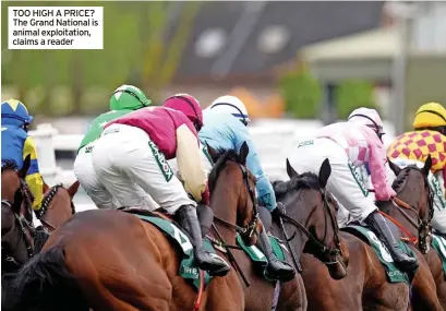  ?? ?? TOO HIGH A PRICE? The Grand National is animal exploitati­on, claims a reader