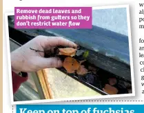  ??  ?? Remove dead leaves and rubbish from gu ers so they don’t restrict water flow