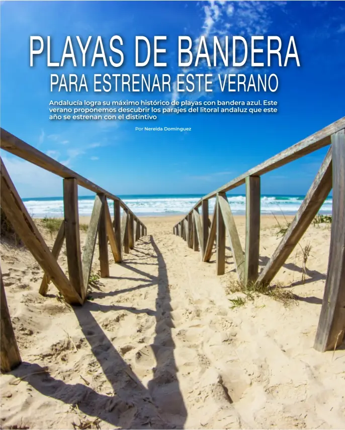  ??  ?? Playa de El Palmar, Cádiz. Foto Carlos Freire