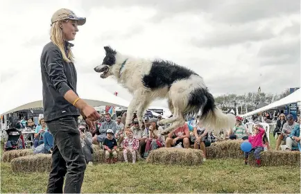  ?? PHOTO: WARWICK SMITH/STUFF ?? Chelsea Marriner entertains the crowd with her six-year-old border collie dog, Rip.