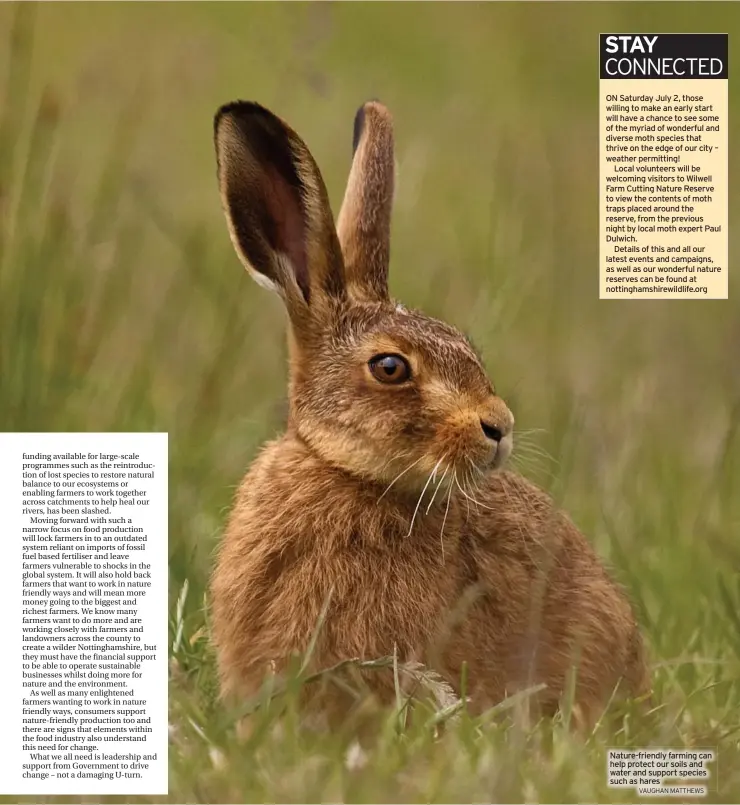  ?? VAUGHAN MATTHEWS ?? Nature-friendly farming can help protect our soils and water and support species such as hares