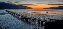  ?? PHOTO: JOHN KIRK-ANDERSON/STUFF ?? A campaign has begun to save the historic Governors Bay jetty.