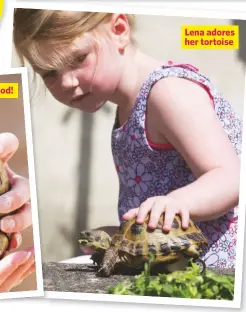 ??  ?? Lena adores her tortoise