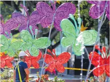  ??  ?? Las mariposas ‘volarán’ sobre el Bulevar del Río, para alumbrarlo