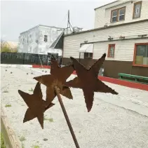  ?? ?? Weeds emerge from the bocce courts at 3 Star Tavern in Chicago Heights, a gathering spot for residents of the Hungry Hill neighborho­od since 1936. The tavern closed when its liquor license expired at the end of April.