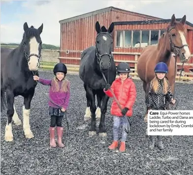  ??  ?? Care Equi-Power horses Laddie, Turbo and Dana are being cared for during lockdown by Emily Crombie and her family