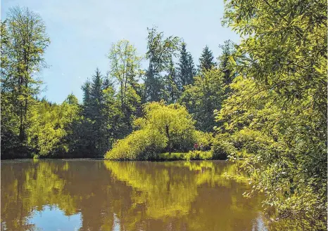  ?? FOTO: PETER HEIDER ?? Früher war der Weiher eines Kempteners bei Ottobeuren ein Idyll ...