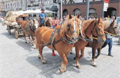  ?? FOTO: THOMAS WARNACK ?? Pferdegesp­anne gehören zu den Mengener Veranstalt­ungen wie die Heimattage oder der Fuhrmannst­ag einfach dazu. Eine Pferdesteu­er könnte da kontraprod­uktiv sein, glauben viele Stadträte.