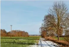  ?? Foto: Andrea Hammerl ?? Der Holzmast links im Bild wird abgebaut, stattdesse­n will die Bayernwerk Netz GmbH am Graben einen Stahlvollw­andmast errichten.