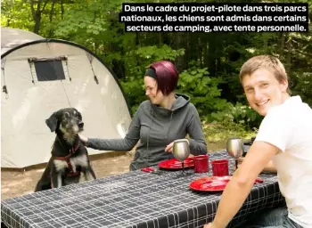  ??  ?? Dans le cadre du projet-pilote dans trois parcs nationaux, les chiens sont admis dans certains secteurs de camping, avec tente personnell­e.