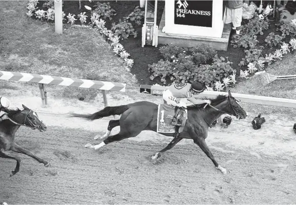  ?? JERRY JACKSON/BALTIMORE SUN PHOTOS ?? War of Will wins the 144th Preakness on Saturday at Pimlico Race Course in Baltimore. The horse was victorious by 1¼ lengths after going off at 6-1 odds.