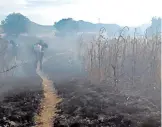  ?? /GUSTAVO VARGAS ?? Protección Civil exhorta a la ciudadanía a evitar arrojar basura u objetos incandesce­ntes