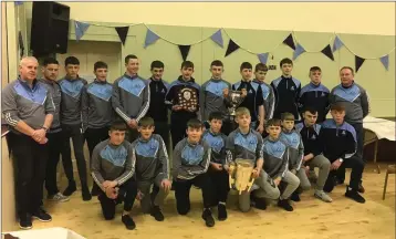  ??  ?? The Michael Dwyers under-15 hurlers who won the Wicklow ‘A’ championsh­ip and league.