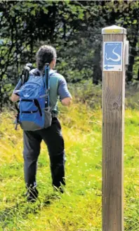  ?? Foto: Bernd F. Meier/tmn ?? Auf dem Wispertals­teig können Wanderer dank der guten Markierung kaum fehlgehen.