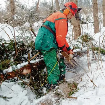  ?? Archivfoto: Thorsten Jordan ?? Erfahrene Waldarbeit­er wissen genau, wie und wann sie sich aufwärmen müssen.