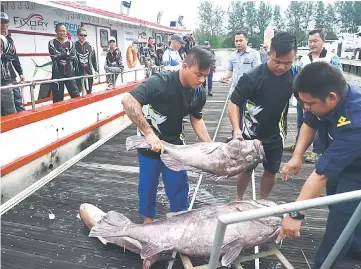  ??  ?? An officer of the Fisheries Department (right) inspecting fish which were being unloaded by participan­ts upon their arrival at Marina Bay jetty yesterday.