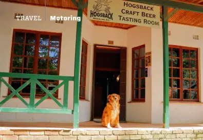  ?? ?? LEFT If you’re ever in Hogsback and feeling parched, make sure to sample the wares of Hogsback Brewing Company. Don’t forget to pet the doorman.