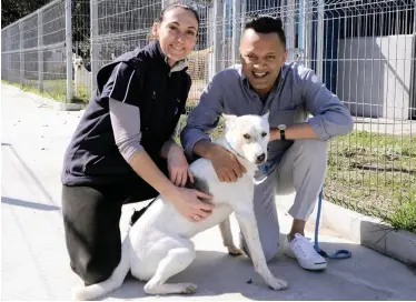  ?? | TRACEY ADAMS African News Agency (ANA) ?? RADIO personalit­y Julian Naidoo at the SPCA this week with Aspen, who is up for adoption, and SPCA communicat­ions and resource developmen­t assistant Tara McGovern.