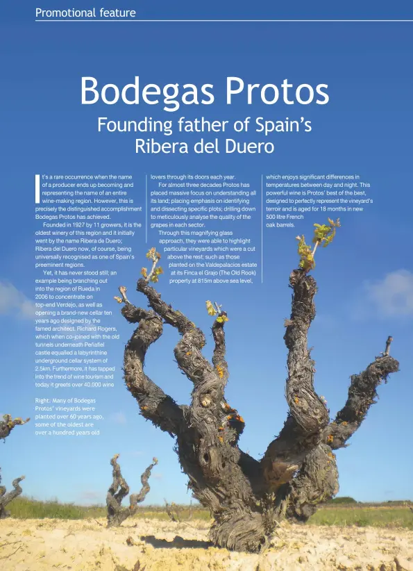  ??  ?? Right: Many of Bodegas Protos’ vineyards were planted over 60 years ago, some of the oldest are over a hundred years old