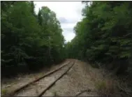  ?? MARY ESCH — THE ASSOCIATED PRESS ?? In this Aug. 8photo, seldom-used railroad tracks owned by Iowa Pacific Holdings vanish into the Adirondack forest in Newcomb.