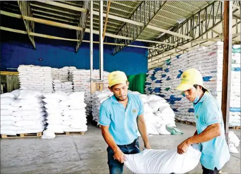  ?? HENG CHIVOAN ?? Milled rice accounted for 10.9 per cent of the Kingdom’s first-quarter agricultur­al exports, in terms of value.