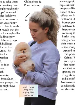  ??  ?? Molly-Mae Hague’s puppy died last June