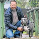  ??  ?? HOPING TO INSPIRE OTHERS: Finest Bully Show organiser Marcel Thurston with his beloved American Bully, Breeze.