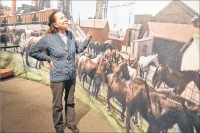  ?? SHARON MONTGOMERY-DUPE/CAPE BRETON POST ?? Mary Pat Mombourque­tte, executive director of the Cape Breton Miners’ Museum, looks at a pit pony mural at the museum. Mombourque­tte will be one of the speakers at an upcoming session for businesses in Glace Bay.