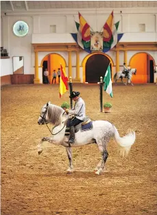  ??  ?? A performanc­e of the Royal Andalusian School of Equestrian Art in Jerez, Spain is art like you’ve never seen before.