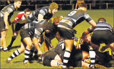  ??  ?? The try that wasn’t: Prop David Peck was adamant he had grounded the ball for a last gasp try that would have clinched victory but the match referee ruled the ball had been held up denying Hinckley the win Picture by Steve Wells