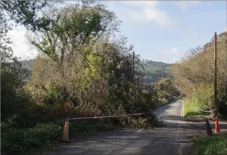  ??  ?? A tree down on the Blainroe Road in Wicklow yesterday (Tuesday).