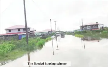  ??  ?? The flooded housing scheme