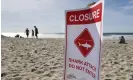  ?? ?? A California swimmer described her encounter with a shark off the coast of Del Mar last week. Photograph: KC Alfred/AP