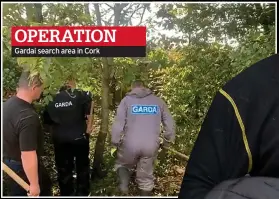  ?? ?? OPERATION
Gardai search area in Cork