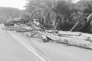  ??  ?? BERSELERAK: Keadaan kayu balak berselerak di Kilometer 21 Jalan Belaga-Tubau.