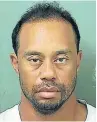  ??  ?? TIGER WOODS