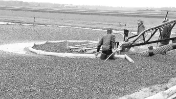  ??  ?? Cranberry marshes at Wetherby Cranberry Co. in Warrens, Wisconsin, are flooded to make harvesting easier.