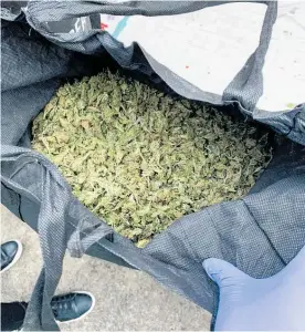  ?? Photo / New Zealand Police ?? Large bags of cannabis were among the drugs sezied during the raids.