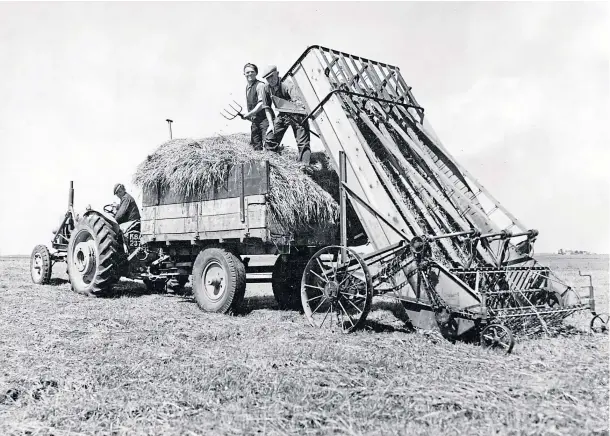  ??  ?? WHILE THE SUN SHINES: Haymaking on the farm at Pitgersie, Newburgh, in June 1955