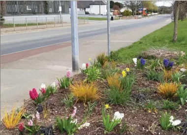  ??  ?? One thing that brightens up any walk at the moment is a lovely floral display so if you are walking down the Ballymaken­ny Road just stop and admire the arrangemen­t at the front of Matson Lodge. A work of art.