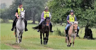  ??  ?? Ashbourne Rotary Club invited horse riders to take part in its annual charity ride