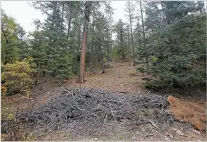  ?? LUIS SÁNCHEZ SATURNO THE NEW MEXICAN ?? The U.S. Forest Service, accompanie­d by other agencies, plans to conduct a prescribed in Pacheco Canyon in Santa Fe National Forest, right, on Thursday or Friday, weather permitting.