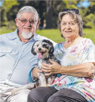  ?? Picture: JERAD WILLIAMS ?? Bruce and Doreen Johnston with their dog Darcy. The couple are backing a Gold Coast City Council initiative to waive dog registrati­on fees for seniors.