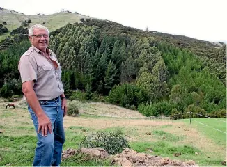  ?? PHOTO: ROB TIPA/STUFF ?? Colin Mackintosh looks over a diverse mix of exotic forestry and protected native bush.